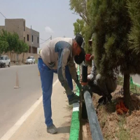 آغاز توسعه جدا سازی آب فضای سبز شهر درق